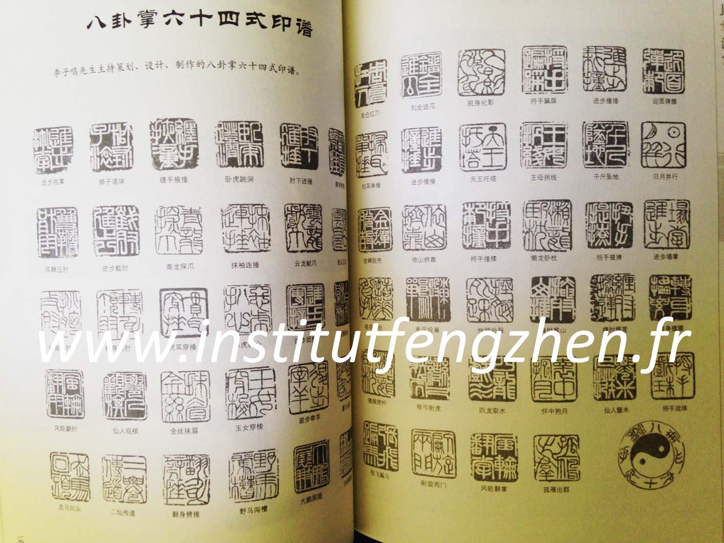 Collection des sceaux du maître Li Zi Ming, représentant chacun 1 des 64 mains.