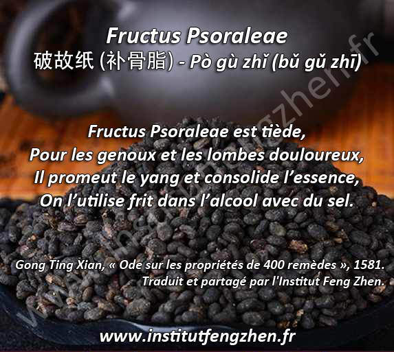 Bu gu zhi - Fructus Psoraleae